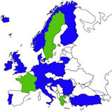 Birds and rowan berries stamped into a birch bark mirror case