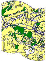 Birds and rowan berries stamped into a birch bark mirror case